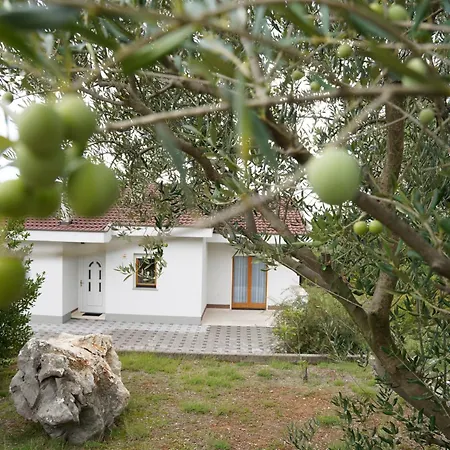 Dom wakacyjny Olives Garden *
