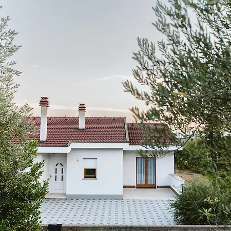 Olives Garden בית נופש